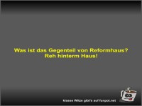 Was ist das Gegenteil von Reformhaus?