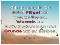 Flgel, Wurzeln & Grnde fr die Liebe