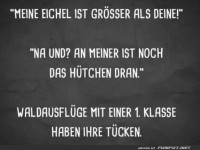 Erstaunliche Eichel-Debatten im Wald