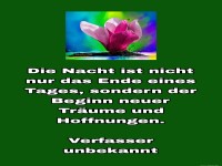 die nacht ist nicht nur das ende