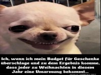 Wenn Budget-Grinch auf Geschenkideen trifft