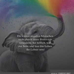 Elefant-mit-Regenbogen.jpg von Carlo2006