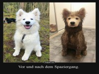 Ein Spaziergang macht den Unterschied!