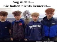 Ein Lama unter Jungs - genialer Haarschnitt-Twist!