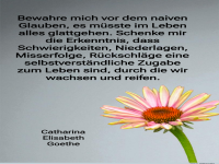 bewahre mich vor dem naiven glauben