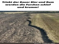 Kurvenreiche Feldabenteuer!