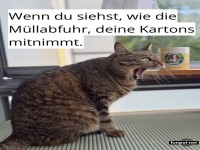 Deine Kartons