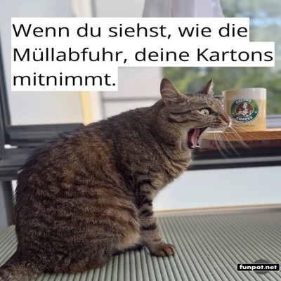 Deine-Kartons.jpg von Queen92