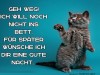 weiter