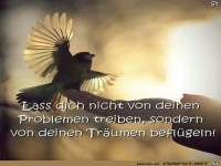 Lass Dich nicht von Deinen Problemen...