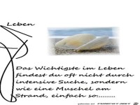 Das Wichtigste im Leben...