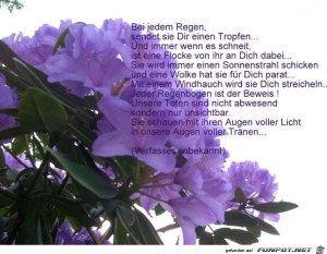 Unsere-Toten-sind-nicht-abwesend--sondern-nur-Unsichtbar.jpg auf www.funpot.net