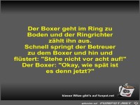 Der Boxer geht im Ring zu Boden und der Ringrichter zählt...