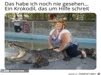 ICH HAB IHN NOCH NIE GESEHEN