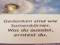 Gedanken sind wie Samenkoerner