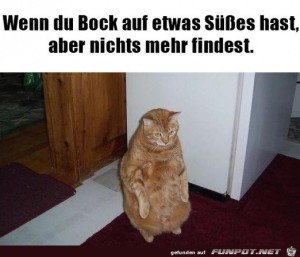 nichts-Ses-mehr-zu-finden.jpg auf www.funpot.net