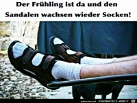 Der Fr�hling ist da
