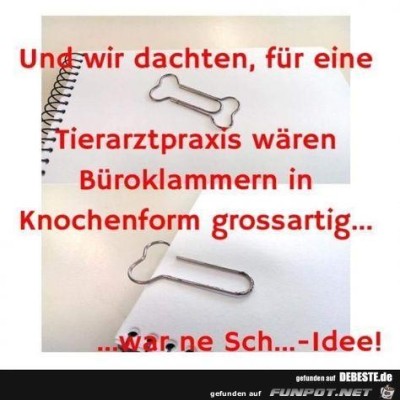 war-ne-Sch...--Idee-!.jpg von Sia