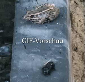 Weg mit dem ungenießbaren Ding