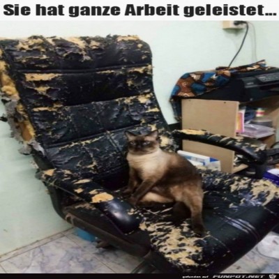 Ganze-Arbeit-geleistet.jpg von Lasse