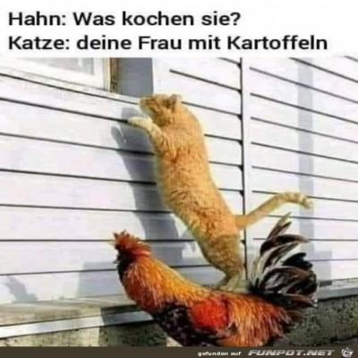 Was-kochen-sie.jpg von Keule56