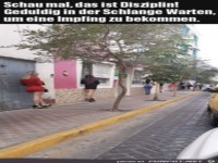 Was f�r eine Disziplin