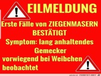 Eilmeldung