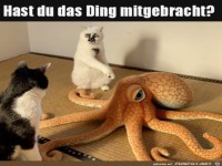 Was soll das denn sein?