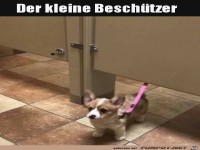 Kleiner Besch�tzer