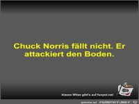 Chuck Norris f�llt nicht