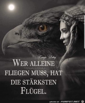 Alleine-fliegen.jpg auf www.funpot.net