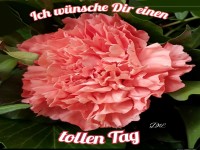 Schne Blumenbotschaft fr einen tollen Tag