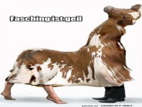 Lustiges Kost�m f�r Fasching