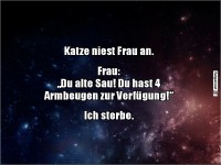 Katzennieser trifft menschliche Emp�rung!