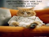 Katzenjammer am Sonntagabend