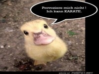 Entenk�ken mit Karate-Kick