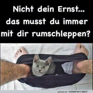 fun-Bild: Katzen-Surprise im Hosenband!
