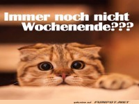 Wochenende?