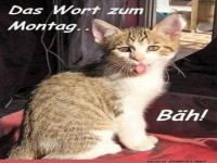 Das Wort zum Montag