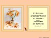 weiter