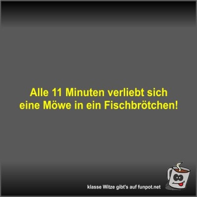 Alle-11-Minuten-verliebt-sich-eine-Möwe-in-ein....jpg von Fossy