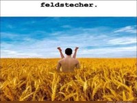 Feldstecher