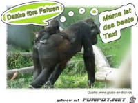 Danke fuers fahren