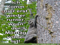 Montag vorbei