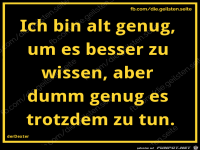 diegeilsten alt dumm
