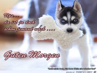 Da ist ja doch schon jemand wach