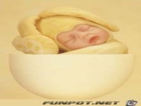 Anne Geddes Baby -027