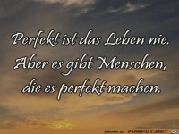 perfektes leben