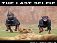 The last Selfie