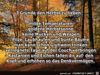7 Gruende den Herbst